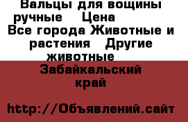 Вальцы для вощины ручные  › Цена ­ 10 000 - Все города Животные и растения » Другие животные   . Забайкальский край